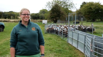 Sheep Farmer Abby Cook Takes a Practical, Data-Driven Approach