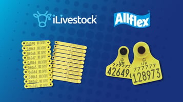 Save on premium Allflex sheep and cattle tags with iLivestock