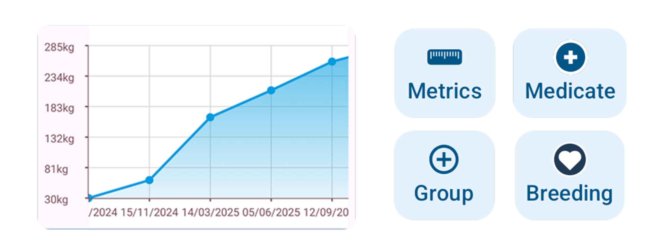 Weighing-screen-features