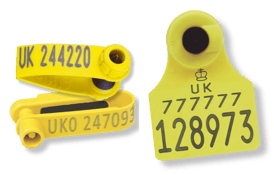 Allflex Tags Allflex Tags