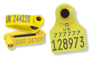 Allflex Tags Allflex Tags
