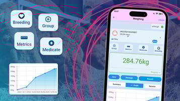 New Weigh Screen Features in iLivestock