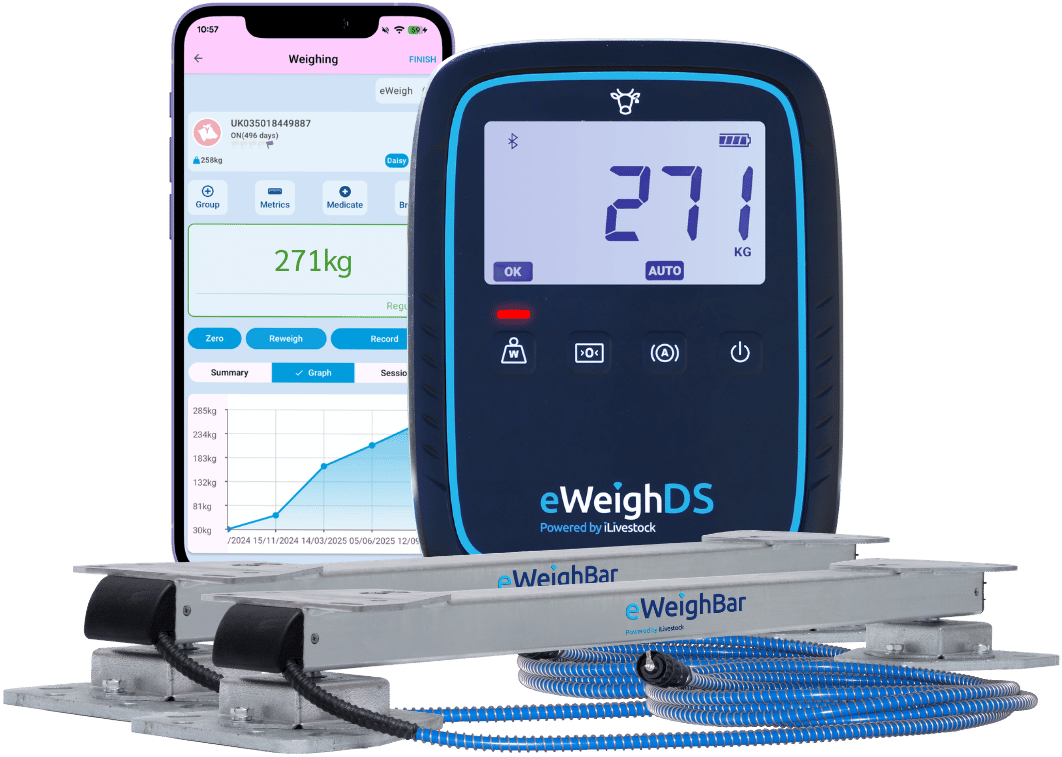Hero-Weighing (2)