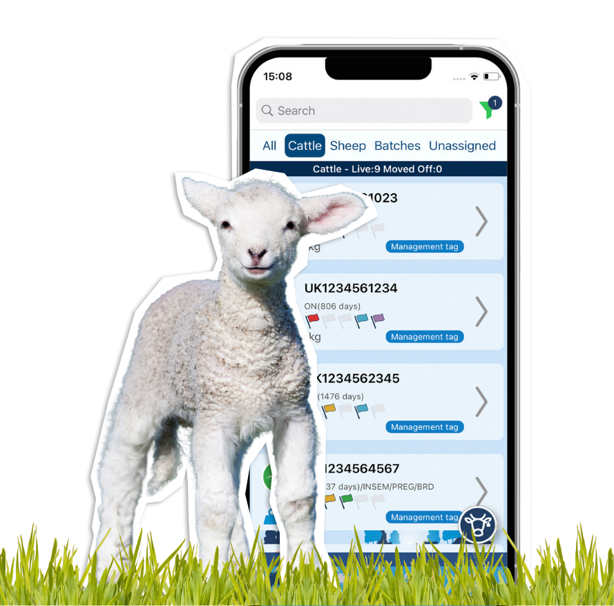 Lambing Hero-1 Lambing Hero-1