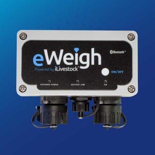 eWeigh - Product Image