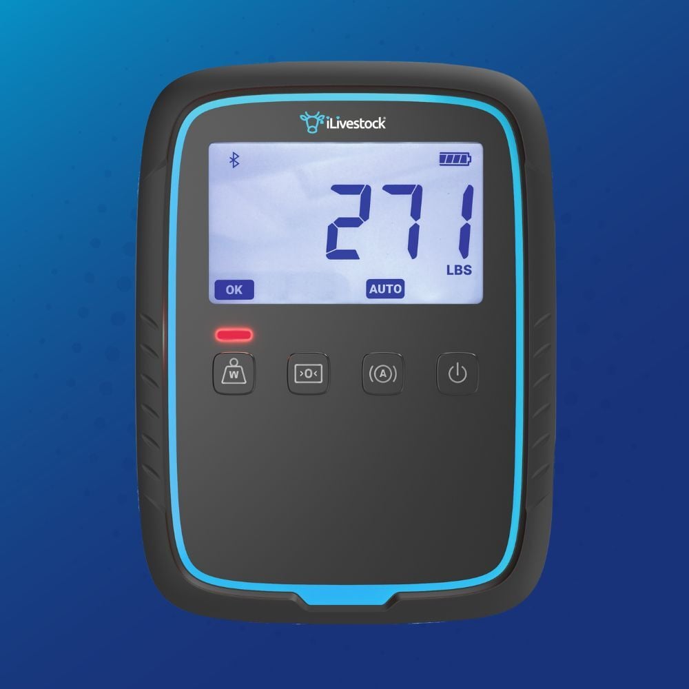 eWeighDS - Product Image (1)
