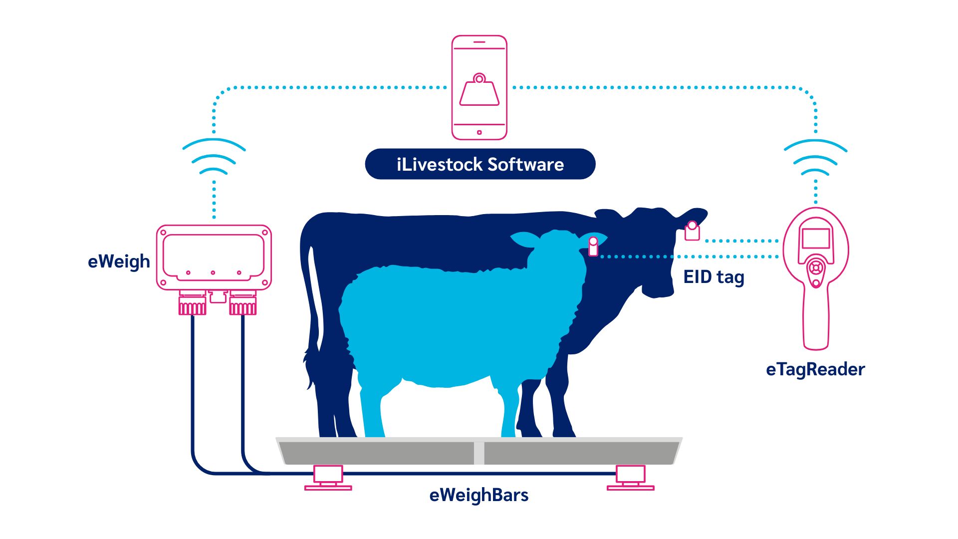 iLivestock Full System Sheep & Cattle iLivestock Full System Sheep & Cattle