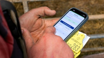 iLivestock's 2025 by the numbers