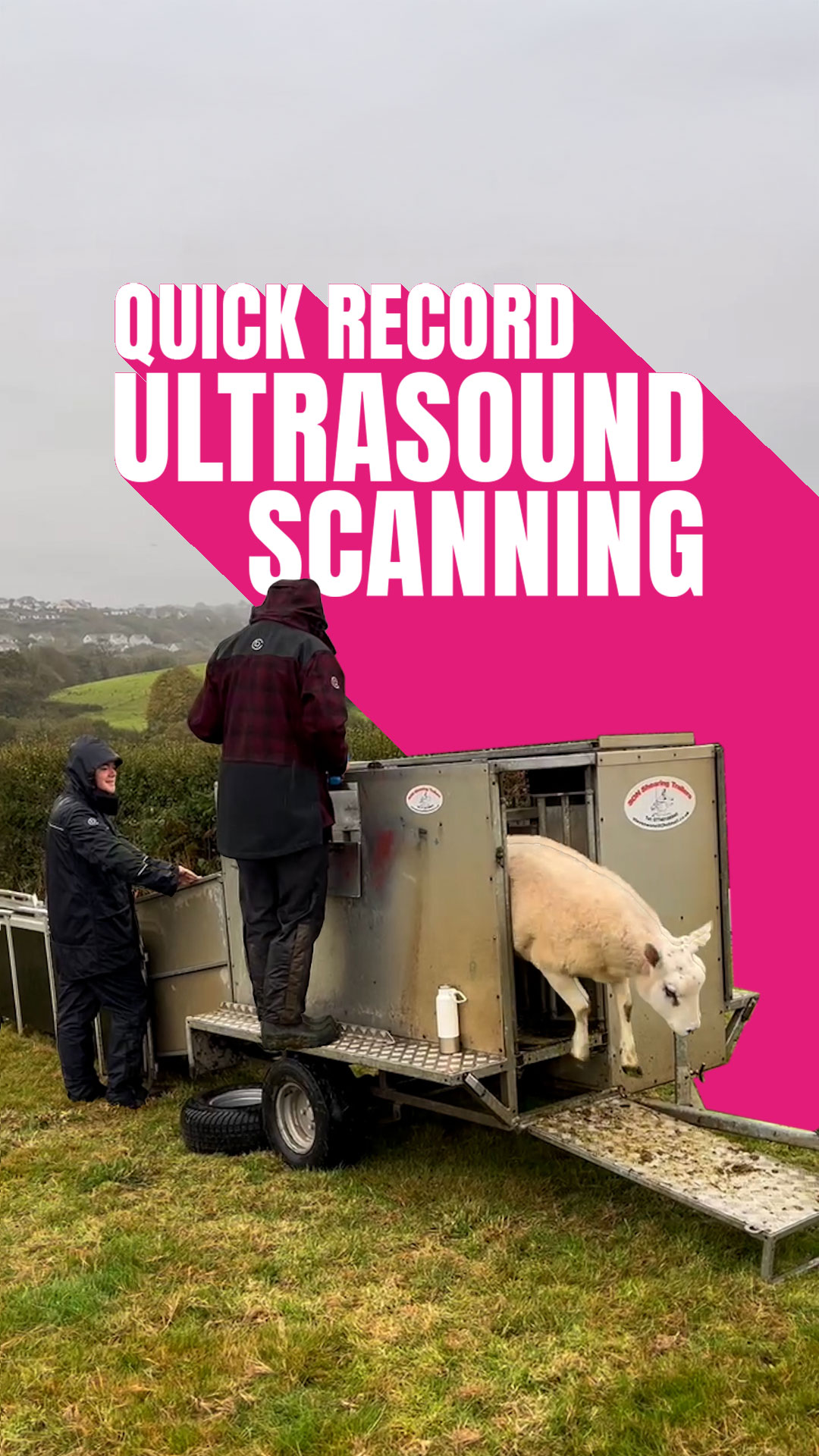 01-QuickRecord-Ultrasound-Scanning