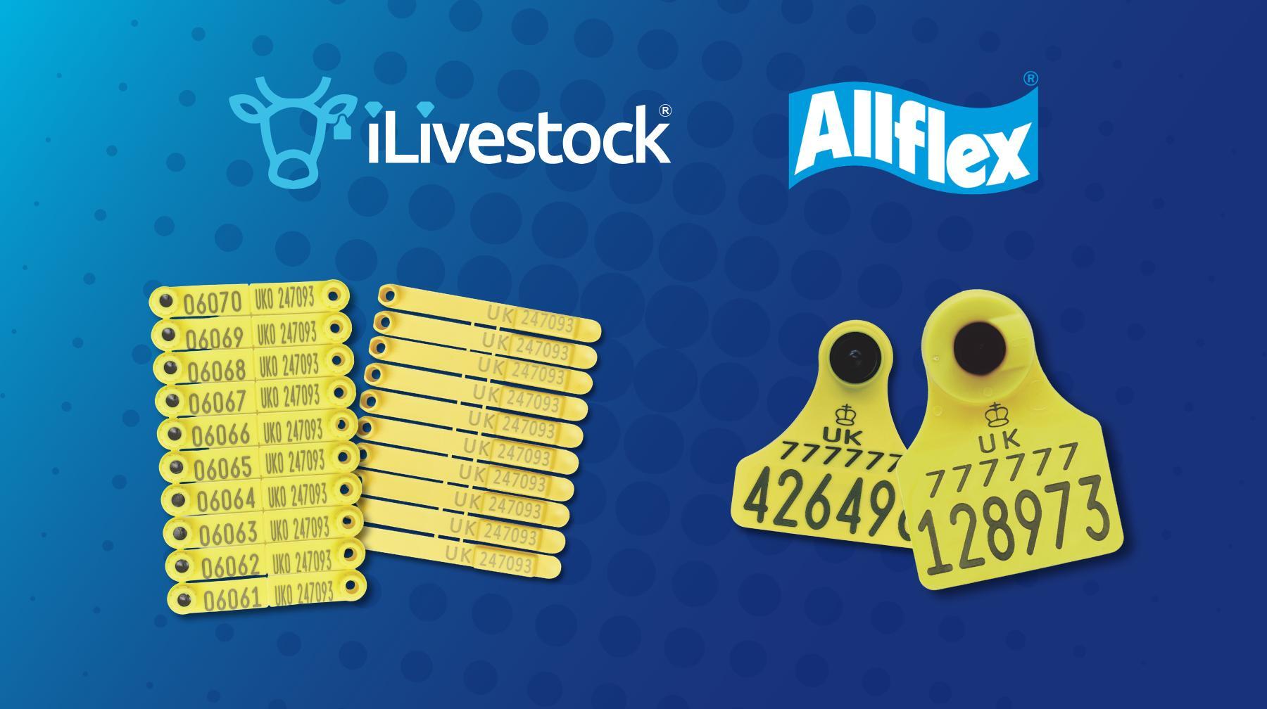 Allflex tags discount iLivestock