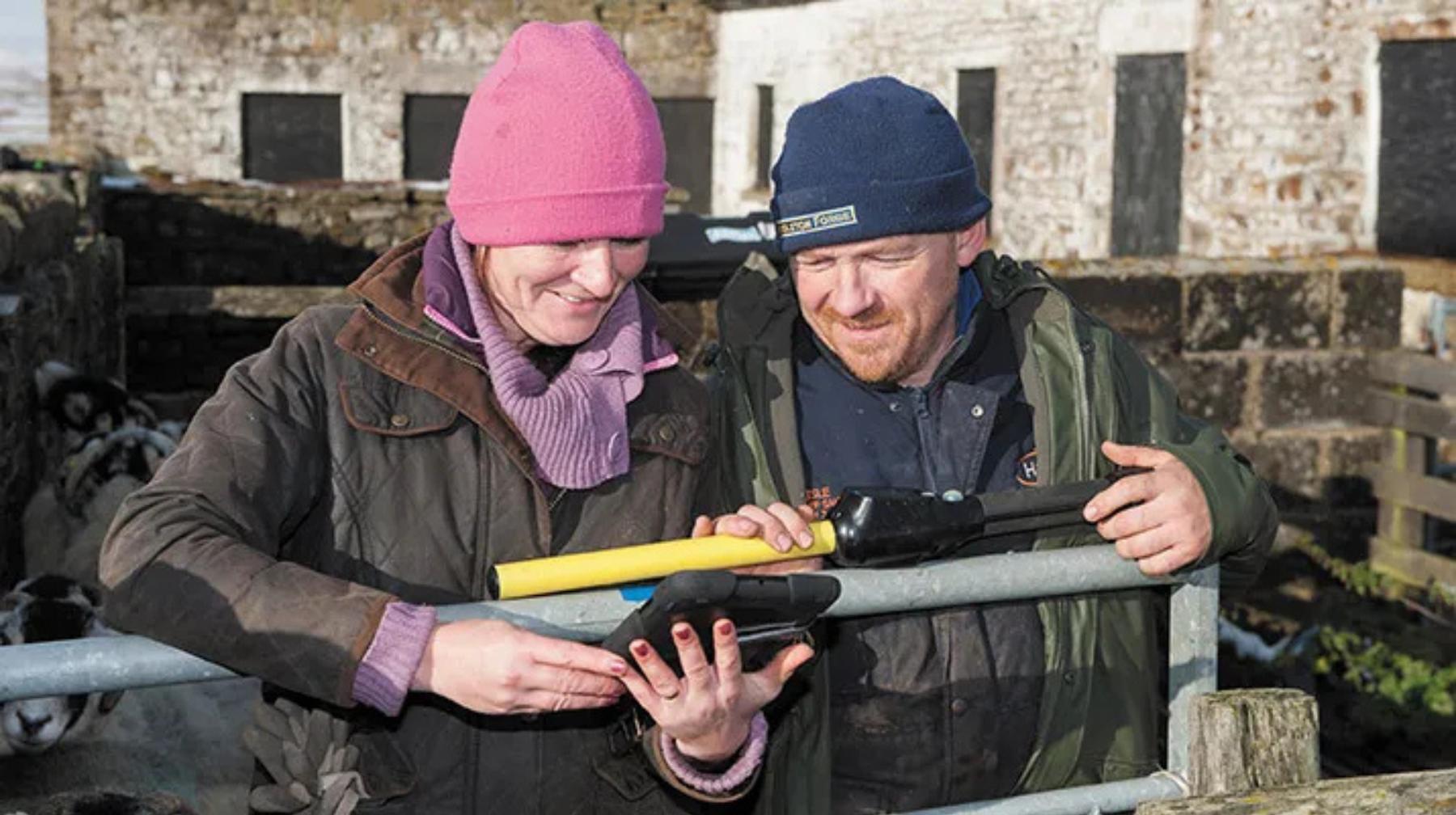 Kay and Tom Hutchinson Bail Hill Farm