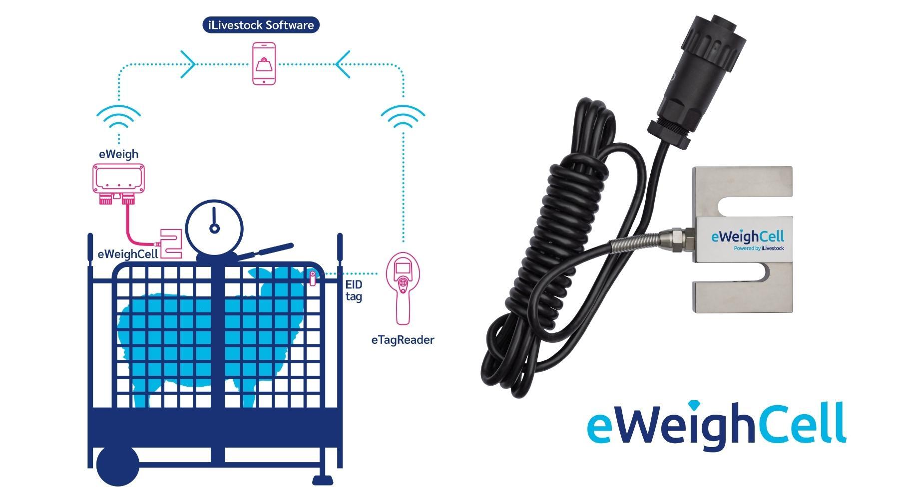 Product announcement eWeighCell + diagram