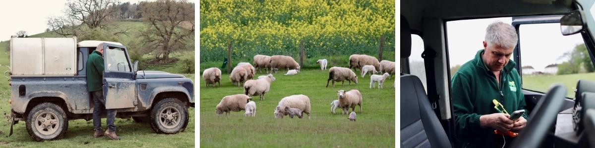 banner-Hayden-Woolley