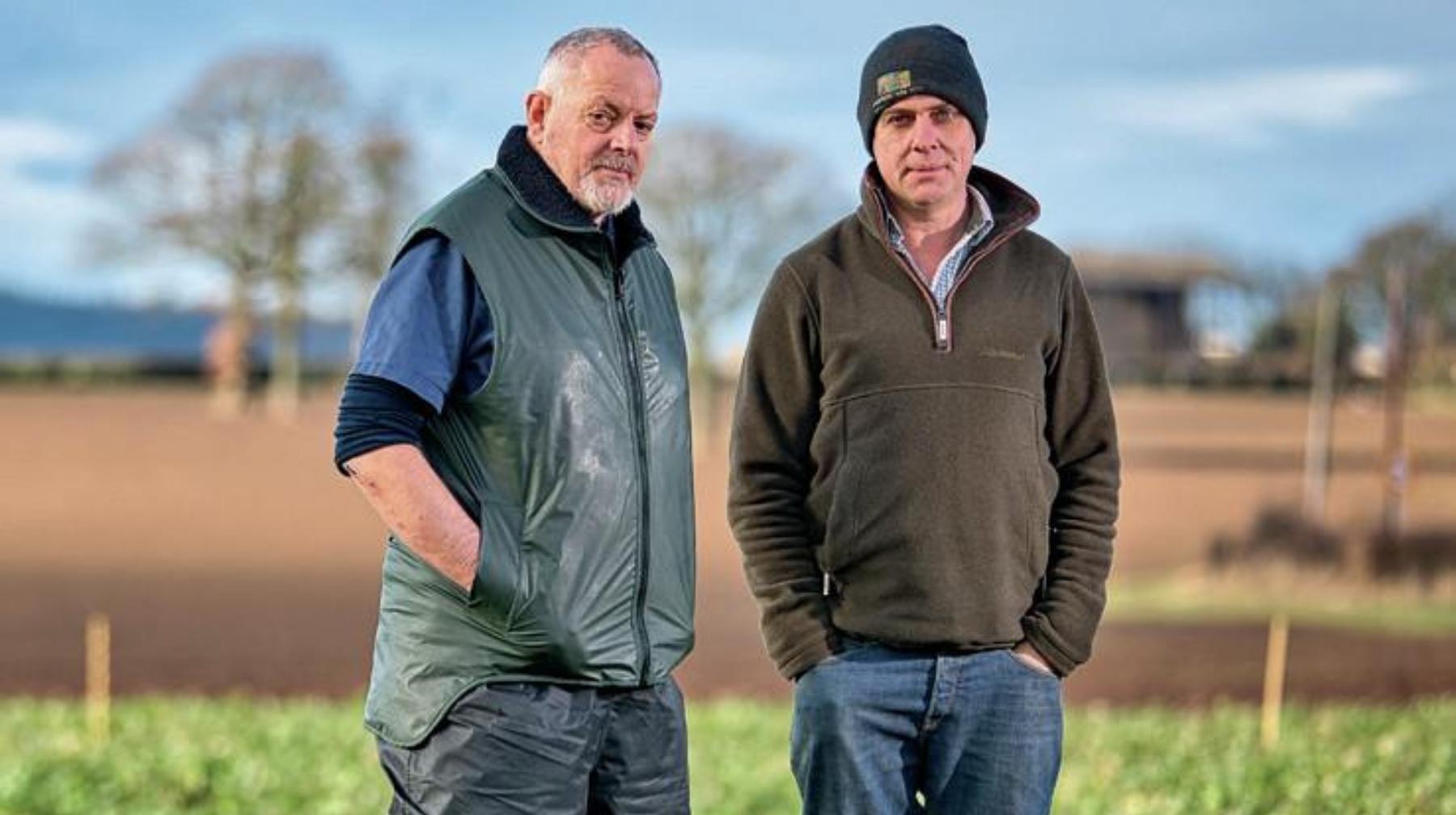 Hayden Woolley shares EasyCare genetics insights in Farmers Weekly, trialling low-input, wool-shedding sheep with vet Ian McDougall.