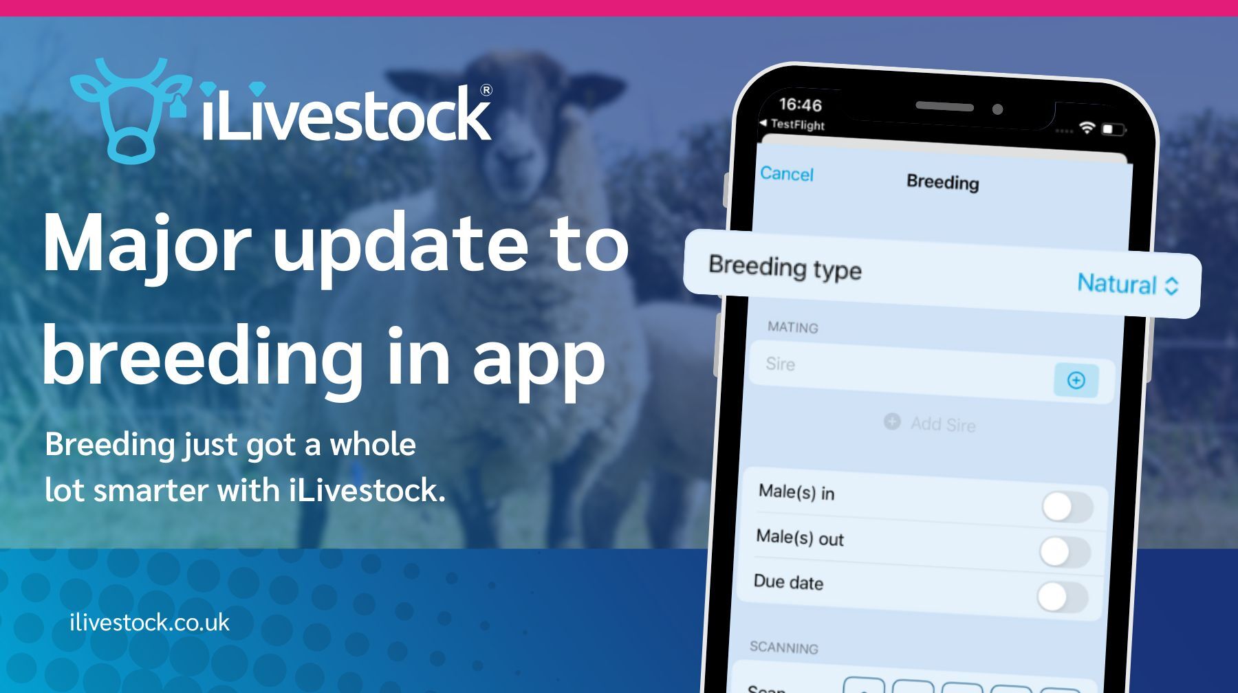 Major update to breeding in iLivestock app