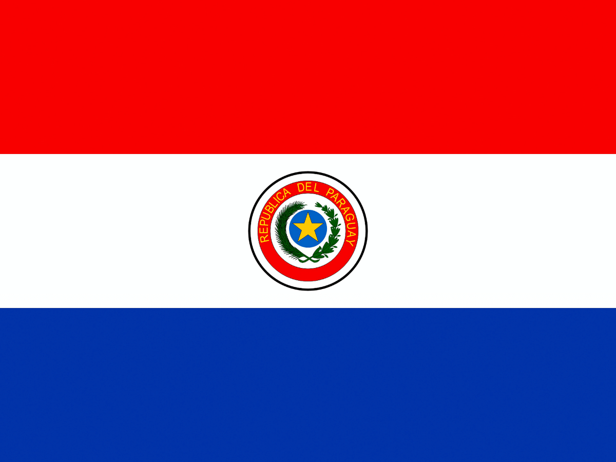 Flag Paraguay Covepa