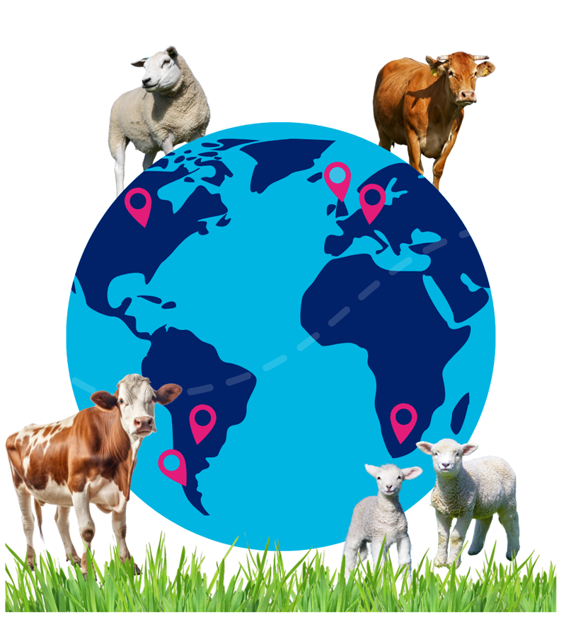 Hero iLivestock Agricultural Technology Partners Hero iLivestock Agricultural Technology Partners