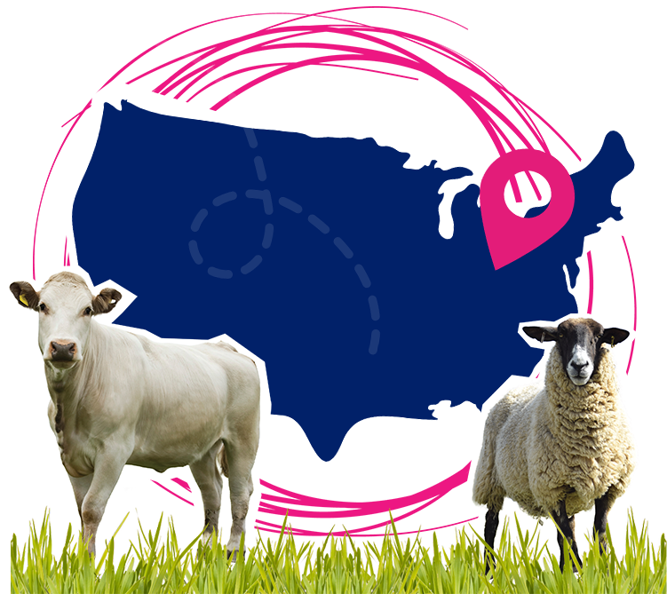 HubSpot-Hero-USA HubSpot-Hero-USA