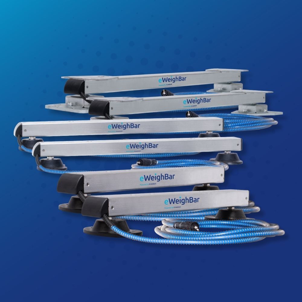 LoadBars LoadBars
