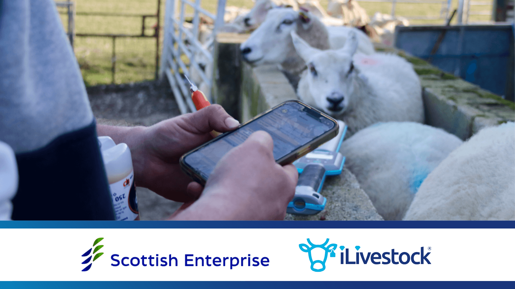 Scottish Enterprise Features iLivestock’s Tech Story