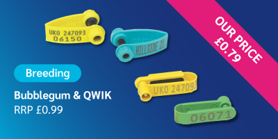 banner-Sheep-eTag-Breeding-price-Bubblegum-QWIK