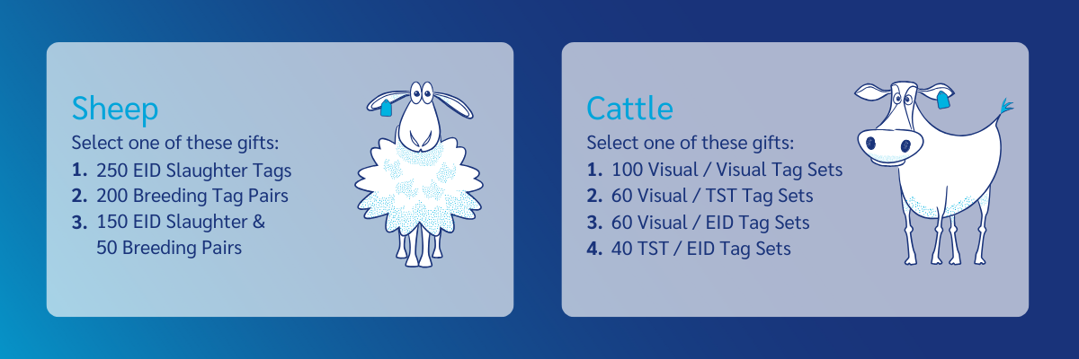 banner-offer-tags-2025