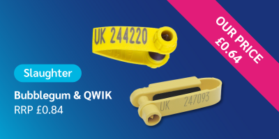 banner-sheep-eTag-Slaughter-price-Bubblegum-QWIK