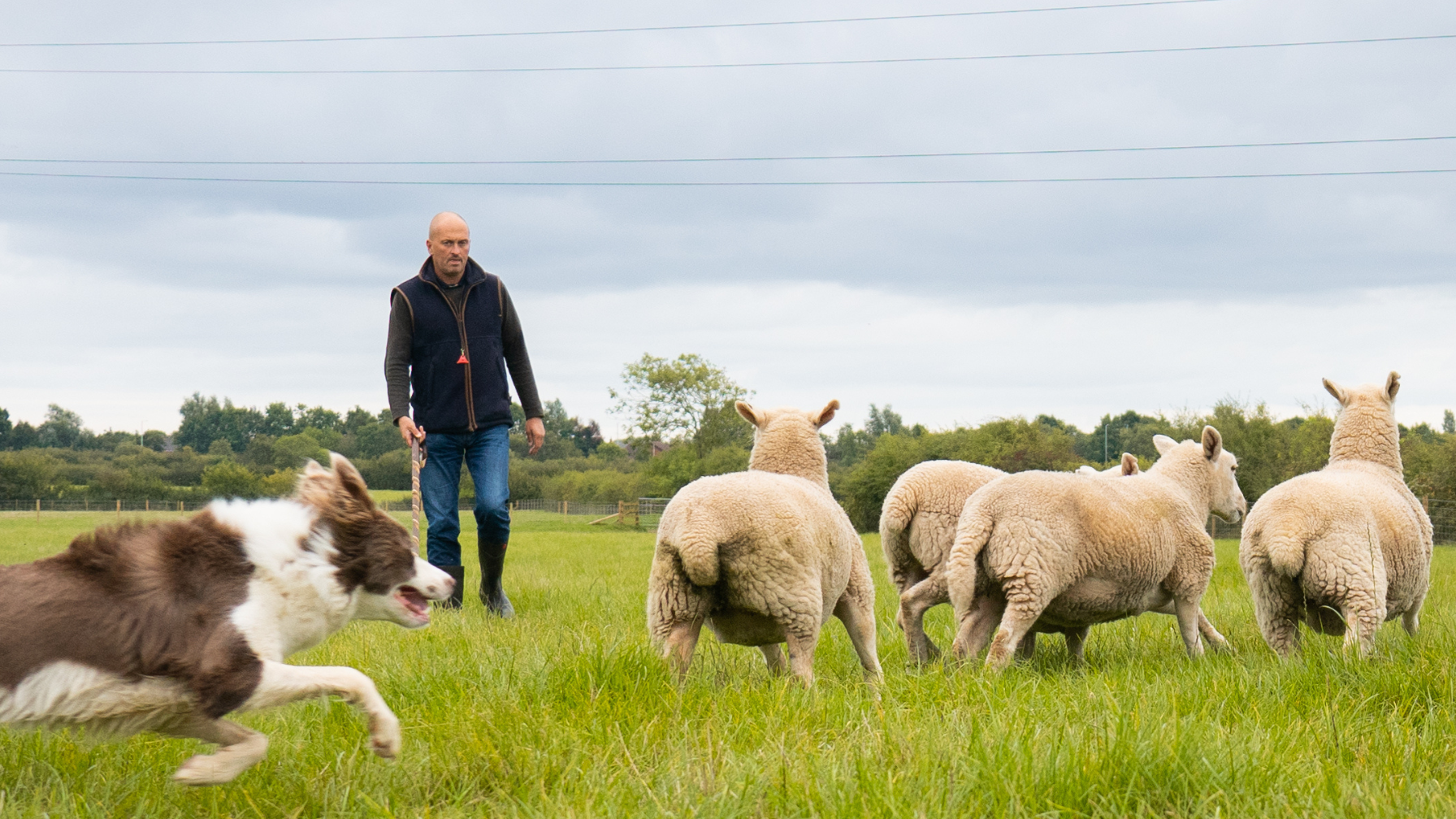 header-Damian Barson