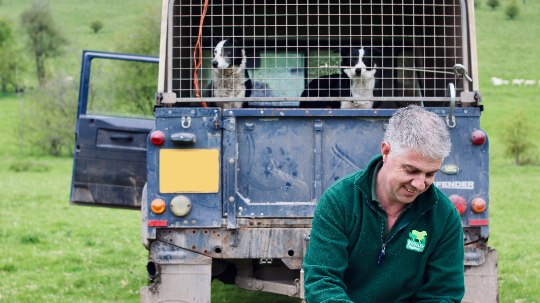 header-Hayden Woolley