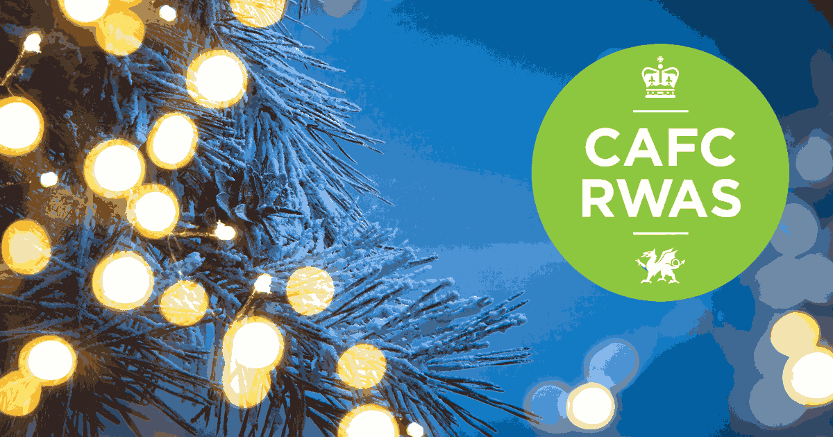 Welsh Winter Fair 2022