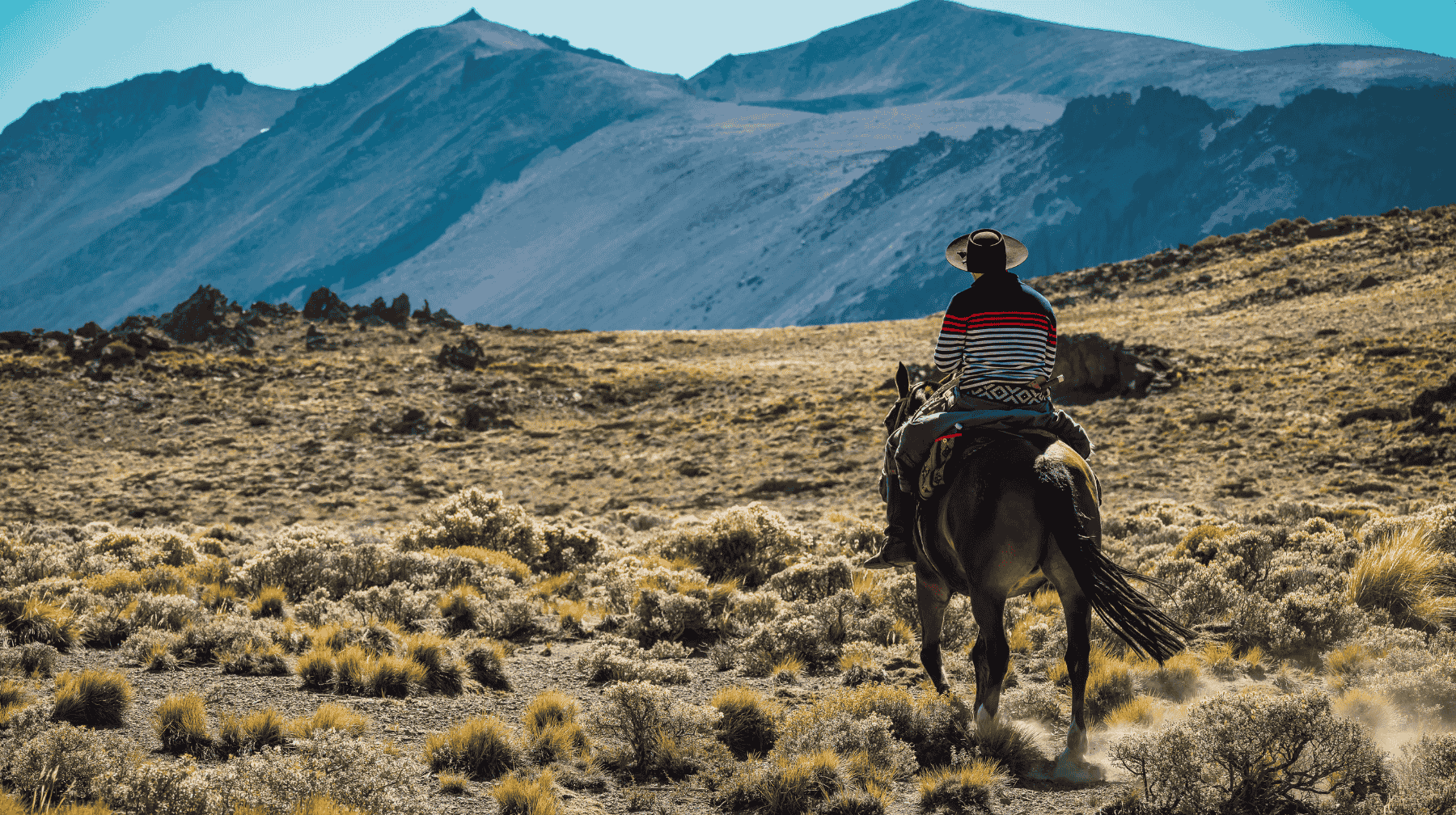 header-argentina-knowledge-exchange-visit-agriEPI