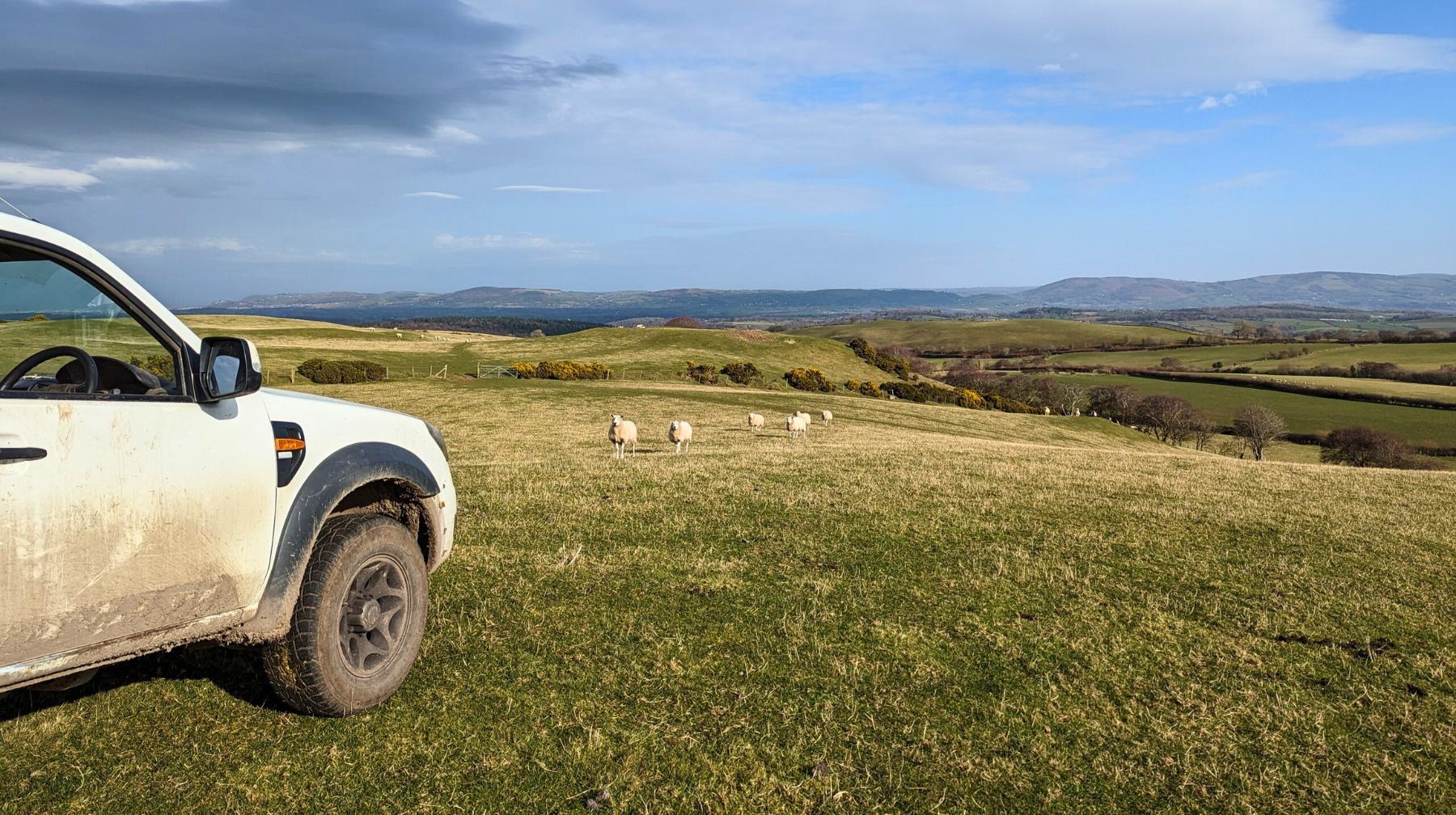 Bulk Upload Livestock with the New iLivestock CSV Import Tool