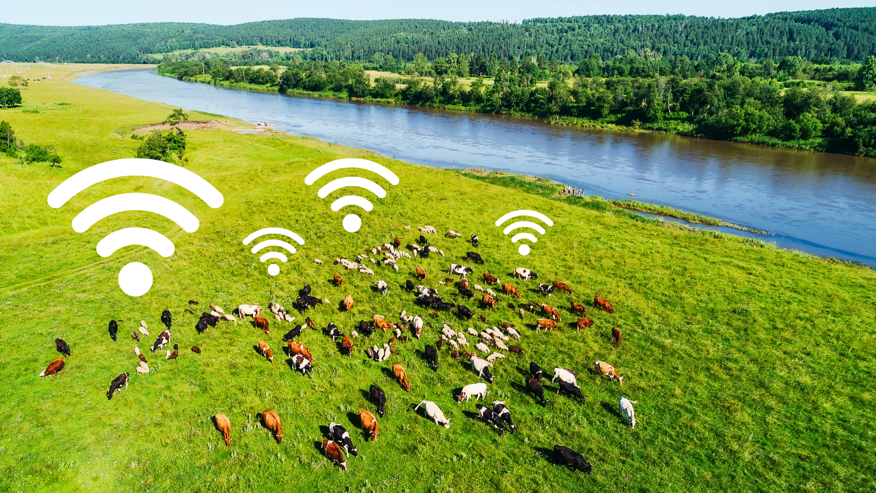 header-edi-uni-data-course-launch-2023