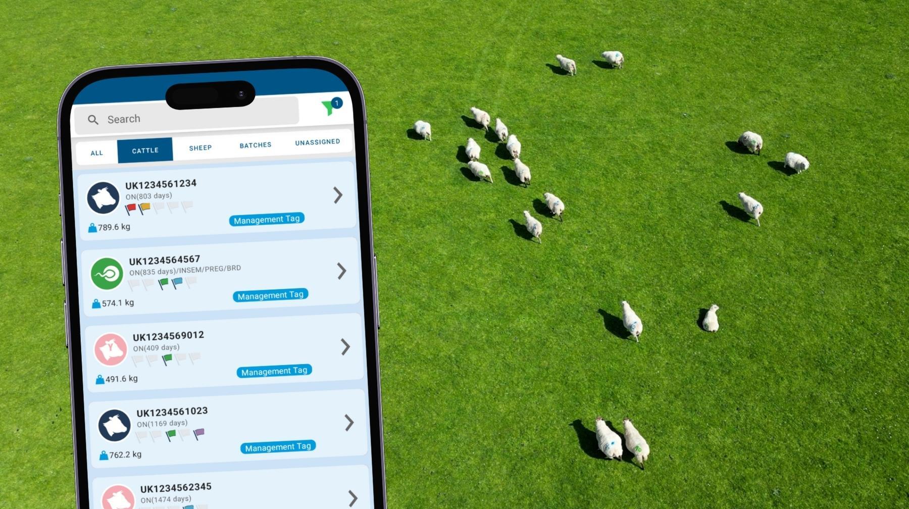 Try iLivestock Free with a 14-Day Trial